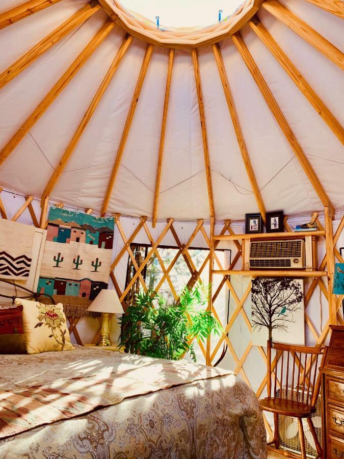 The Yoga Yurta At Sunny Mellow Eco Villa Tijeras Exterior foto